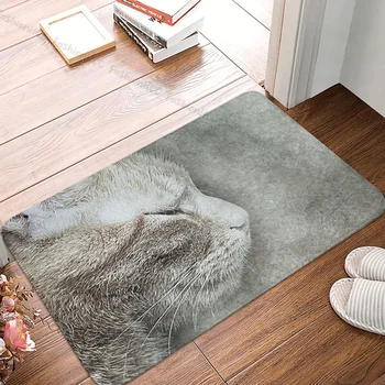 Нескользящий килим за баня с изображение на котка, подложка за спални, подложка за входната врата, подложка за декорация на дома