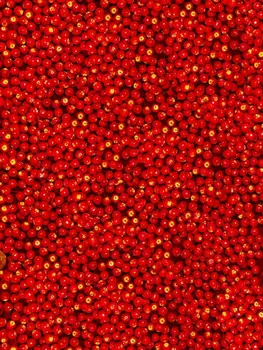 Червени плодове за фотография, подпори за фотосесия, студиен фон 5x7 фута